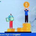 highest paid crypto jobs