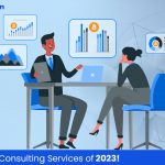 Professional consultancy services