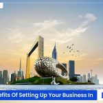 Why Set Up Your Business in Dubai
