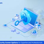 Web3 Cybersecurity Career